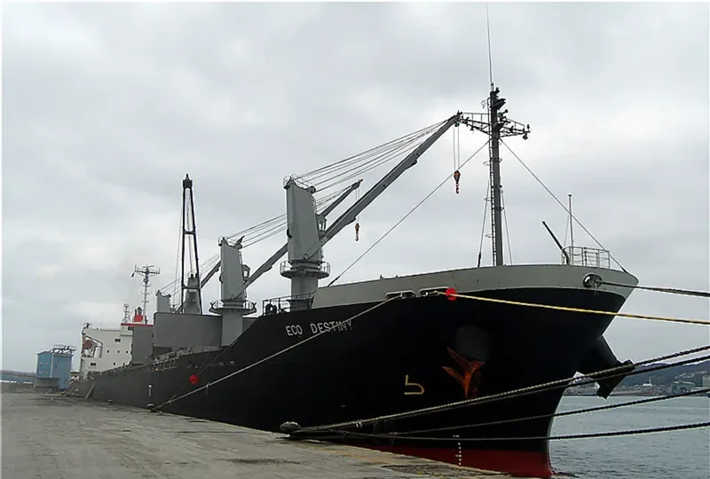ECO DESTINY Bulk Carrier IMO 9316921 photo 4