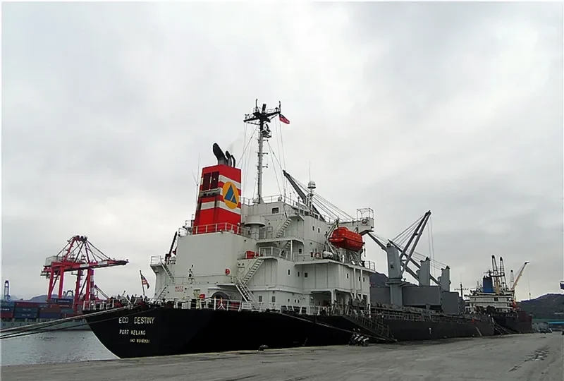 ECO DESTINY Bulk Carrier IMO 9316921 photo 7