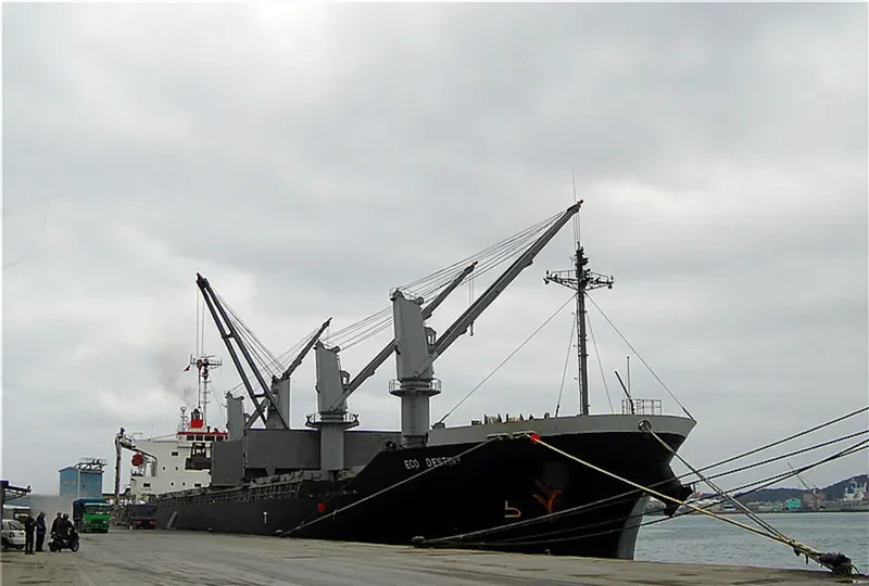 ECO DESTINY Bulk Carrier IMO 9316921 photo 8