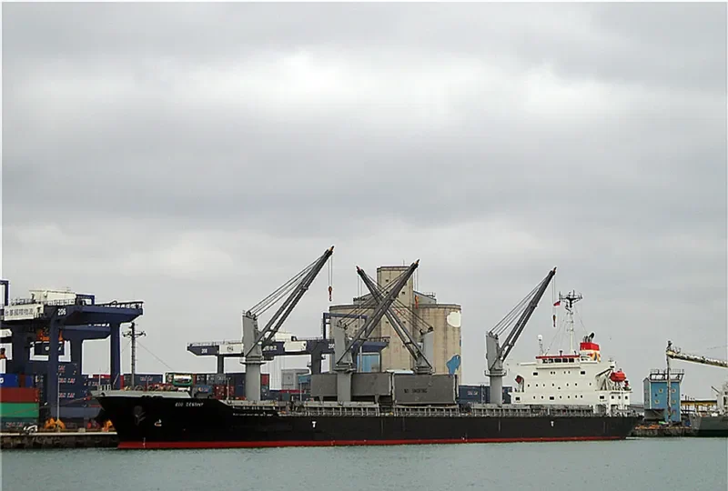ECO DESTINY Bulk Carrier IMO 9316921 photo 10