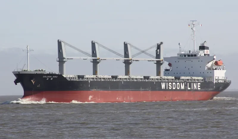 SUPER ARSENAL Bulk Carrier IMO 9316933 photo 4