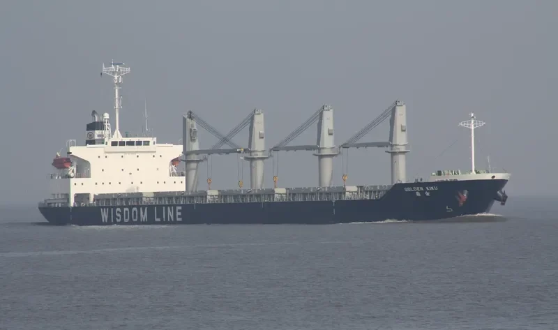 SUPER ARSENAL Bulk Carrier IMO 9316933 photo 9