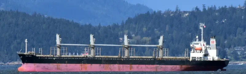 KEN TOKU Bulk Carrier IMO 9316945 photo 6