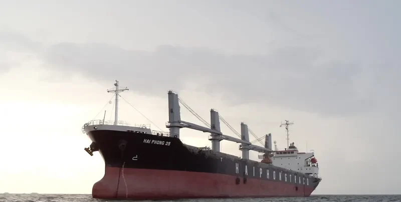 SUNRISE Bulk Carrier IMO 9316957 photo 4