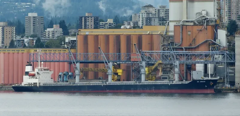 SUNRISE Bulk Carrier IMO 9316957 photo 5