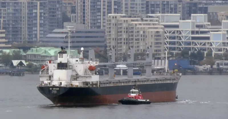 SUNRISE Bulk Carrier IMO 9316957 photo 6