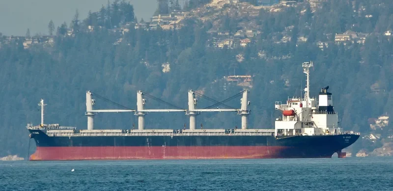 SUNRISE Bulk Carrier IMO 9316957 photo 7