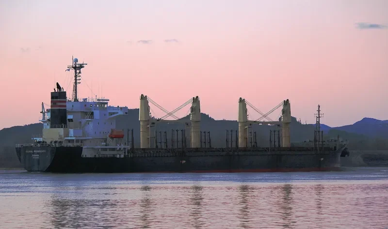 HAI NAM 87 Bulk Carrier IMO 9316969 photo 2
