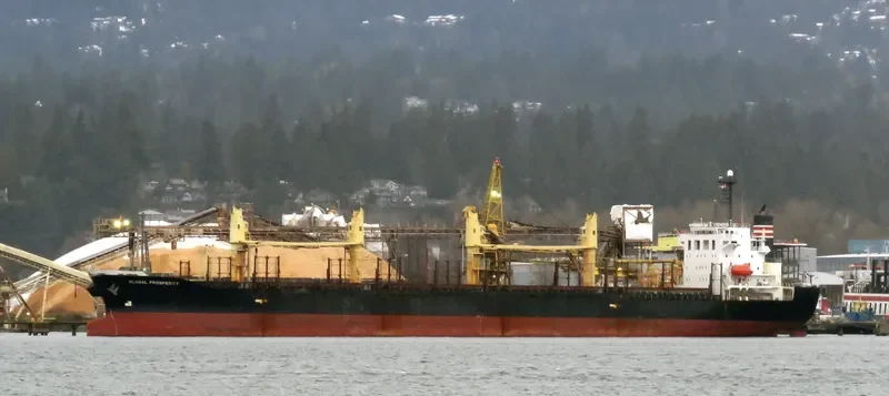 HAI NAM 87 Bulk Carrier IMO 9316969 photo 5
