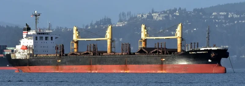 HAI NAM 87 Bulk Carrier IMO 9316969 photo 8
