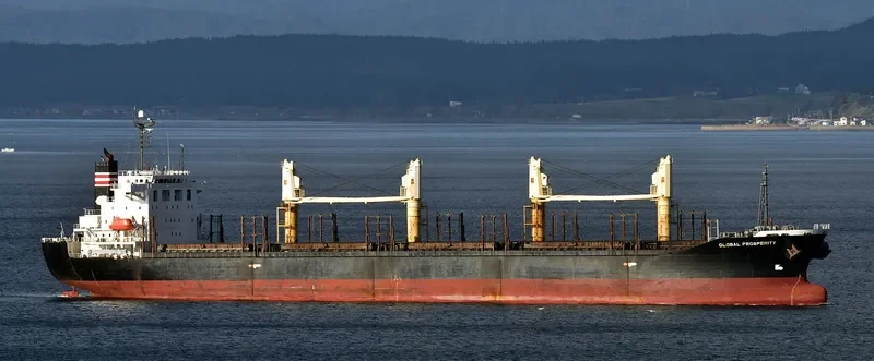 HAI NAM 87 Bulk Carrier IMO 9316969 photo 9