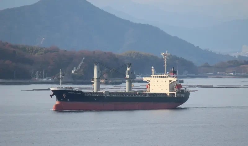 JC TREASURE Bulk Carrier IMO 9316971 photo 2
