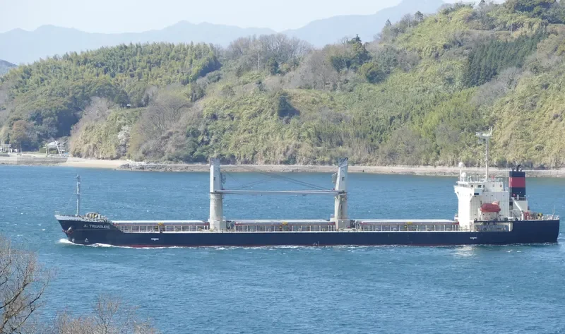 JC TREASURE Bulk Carrier IMO 9316971 photo 3