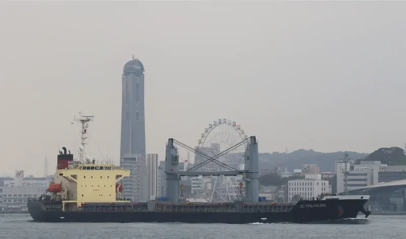 JC TREASURE Bulk Carrier IMO 9316971 photo 6