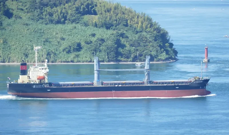 JC TREASURE Bulk Carrier IMO 9316971 photo 9