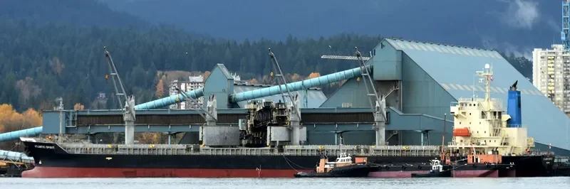 SUPER CAROLINE Bulk Carrier IMO 9316983 photo 3