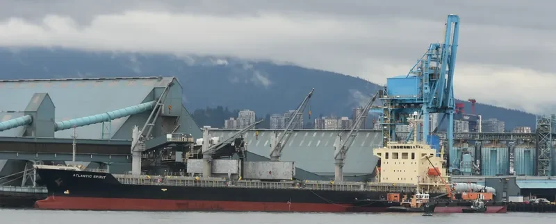 SUPER CAROLINE Bulk Carrier IMO 9316983 photo 4