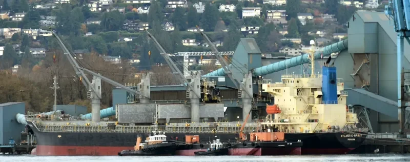 SUPER CAROLINE Bulk Carrier IMO 9316983 photo 5