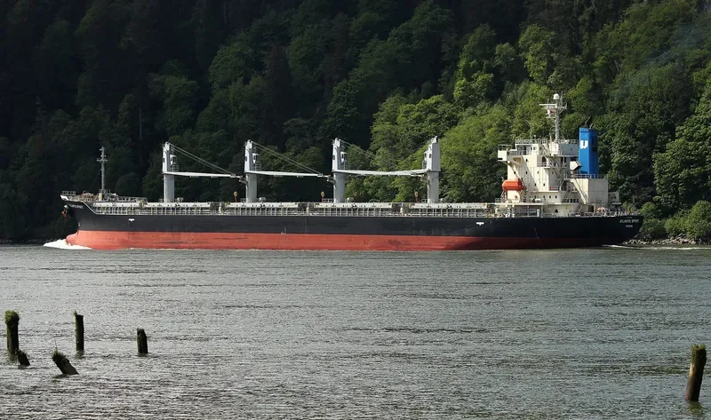 SUPER CAROLINE Bulk Carrier IMO 9316983 photo 7