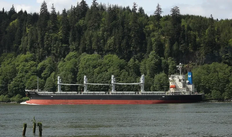 SUPER CAROLINE Bulk Carrier IMO 9316983 photo 8