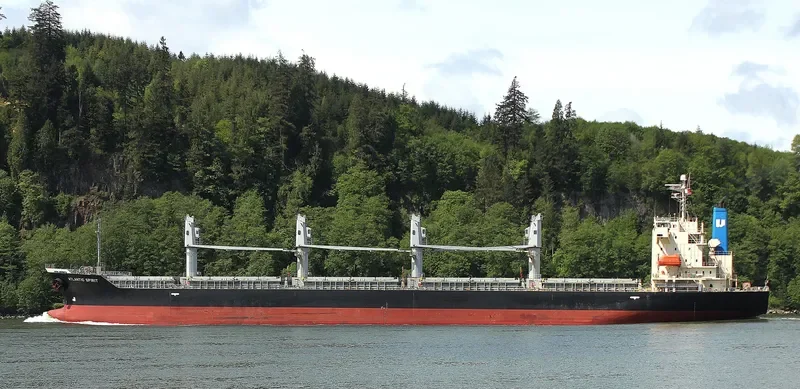 SUPER CAROLINE Bulk Carrier IMO 9316983 photo 9