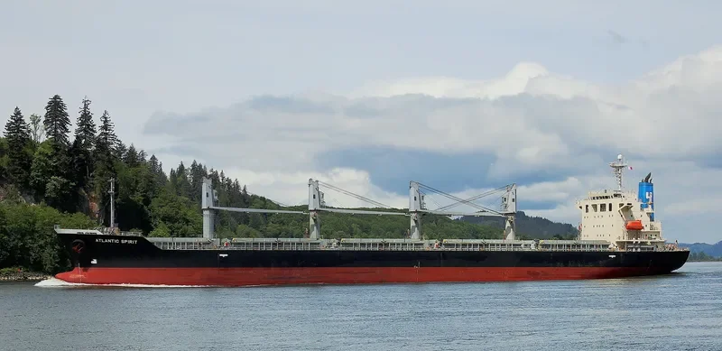 SUPER CAROLINE Bulk Carrier IMO 9316983 photo 10
