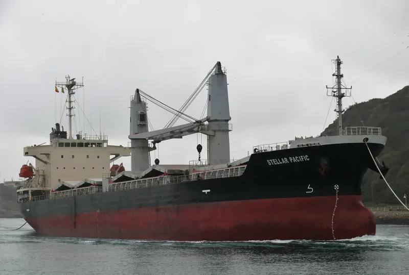 STELLAR PACIFIC Bulk Carrier IMO 9316995