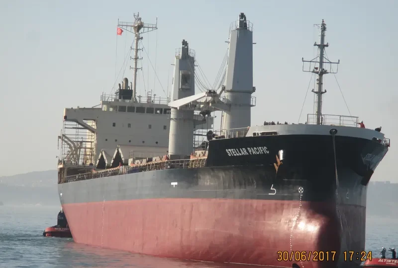 STELLAR PACIFIC Bulk Carrier IMO 9316995 photo 3