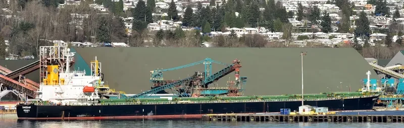 PANSOLAR Bulk Carrier IMO 9317004 photo 2