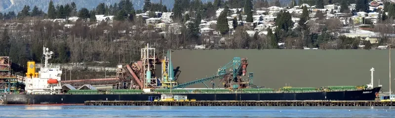 PANSOLAR Bulk Carrier IMO 9317004 photo 3
