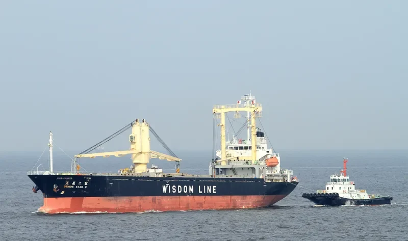 HAI DUONG 36 General Cargo IMO 9317042 photo 3