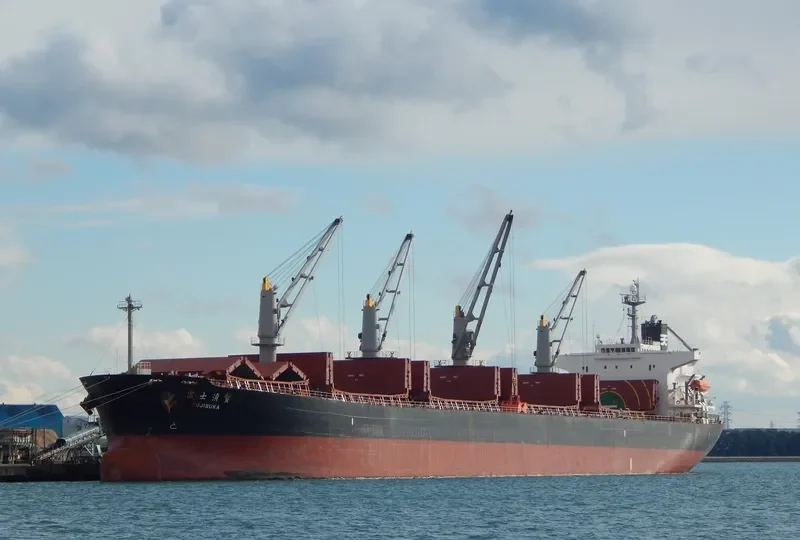 BULK FREEDOM Bulk Carrier IMO 9317092 photo 2
