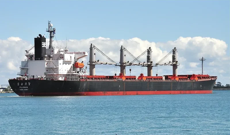 BULK FREEDOM Bulk Carrier IMO 9317092 photo 3