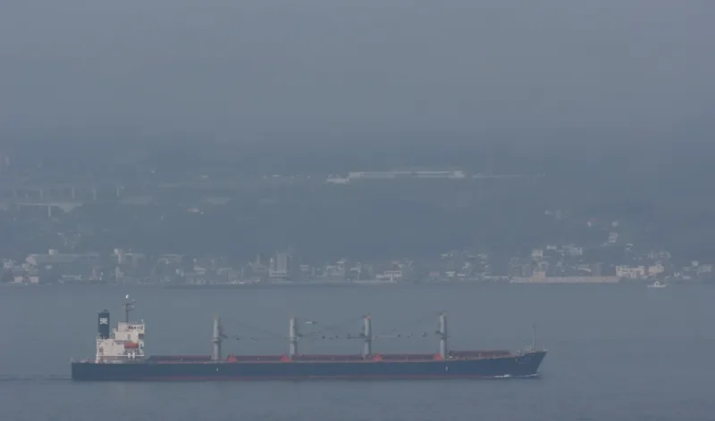 BULK FREEDOM Bulk Carrier IMO 9317092 photo 5
