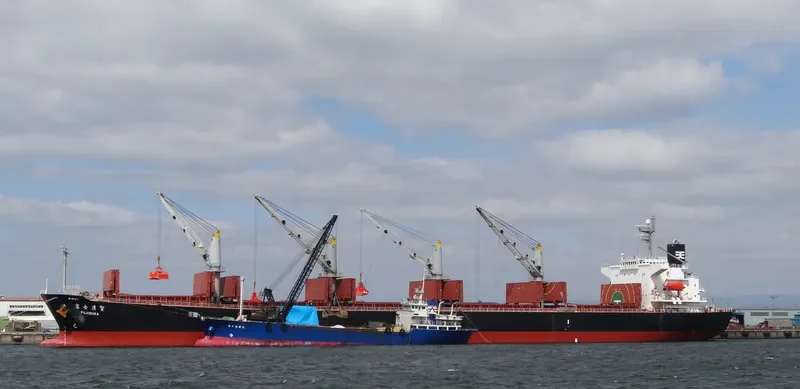 BULK FREEDOM Bulk Carrier IMO 9317092 photo 6