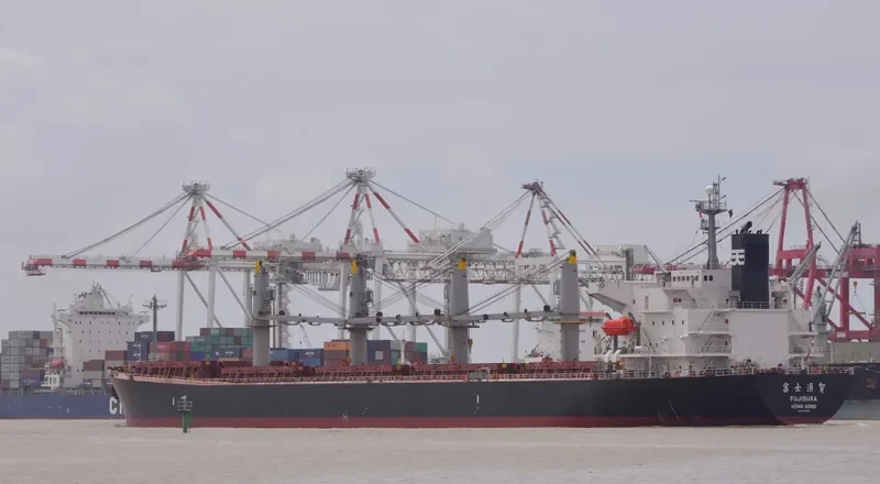 BULK FREEDOM Bulk Carrier IMO 9317092 photo 7