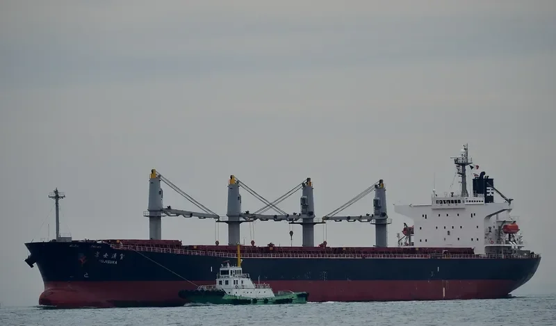 BULK FREEDOM Bulk Carrier IMO 9317092 photo 9