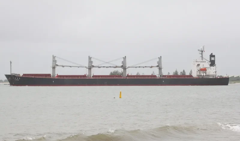 BULK FREEDOM Bulk Carrier IMO 9317092 photo 10