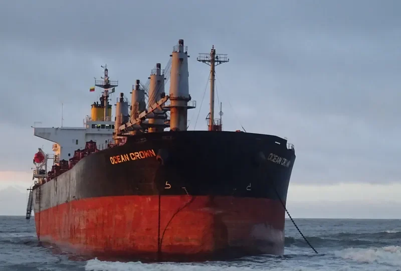 OCEAN CROWN Bulk Carrier IMO 9317107 photo 3