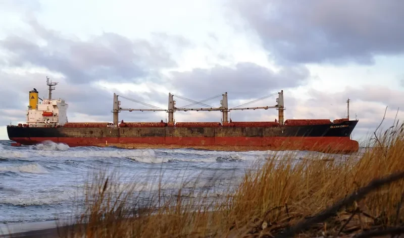 OCEAN CROWN Bulk Carrier IMO 9317107 photo 5