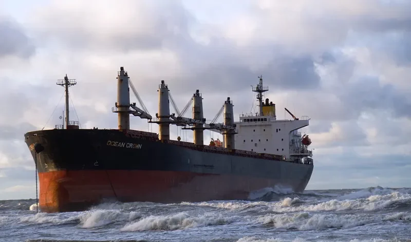 OCEAN CROWN Bulk Carrier IMO 9317107 photo 6