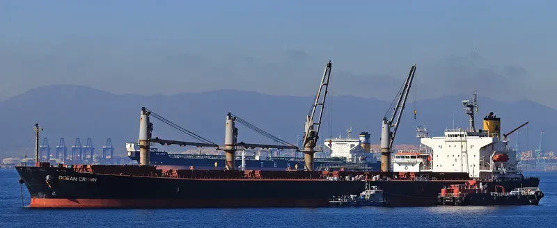 OCEAN CROWN Bulk Carrier IMO 9317107 photo 10