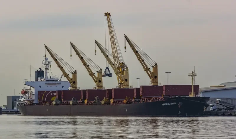 NEWSEAS AMBER Bulk Carrier IMO 9317119