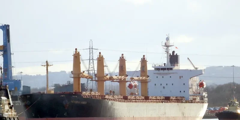 NEWSEAS AMBER Bulk Carrier IMO 9317119 photo 5