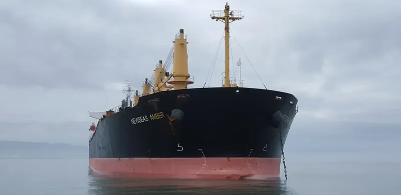 NEWSEAS AMBER Bulk Carrier IMO 9317119 photo 8