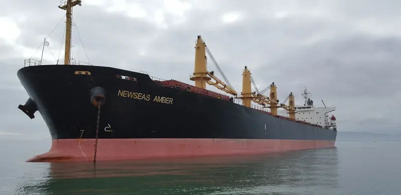 NEWSEAS AMBER Bulk Carrier IMO 9317119 photo 9