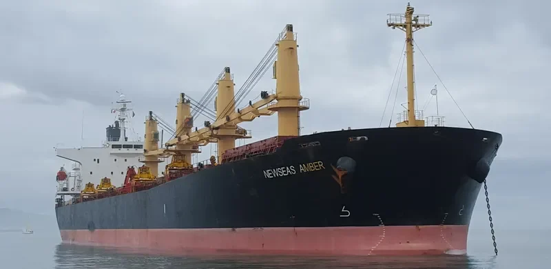 NEWSEAS AMBER Bulk Carrier IMO 9317119 photo 10