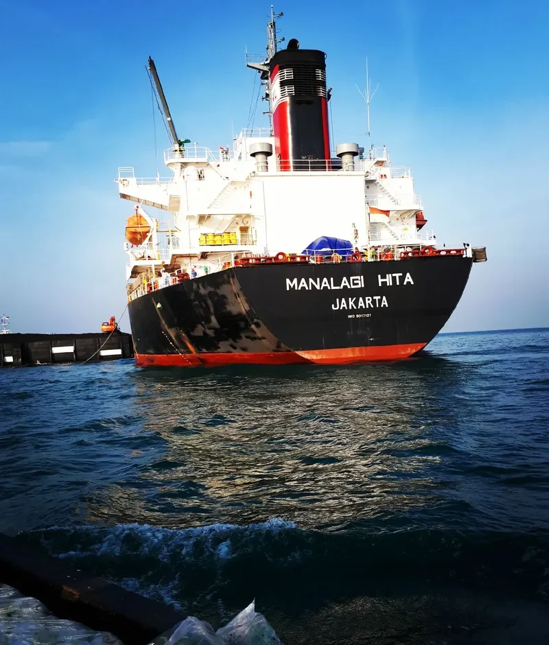 MANALAGI HITA Bulk Carrier IMO 9317121
