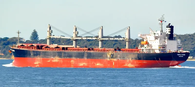 MANALAGI HITA Bulk Carrier IMO 9317121 photo 6
