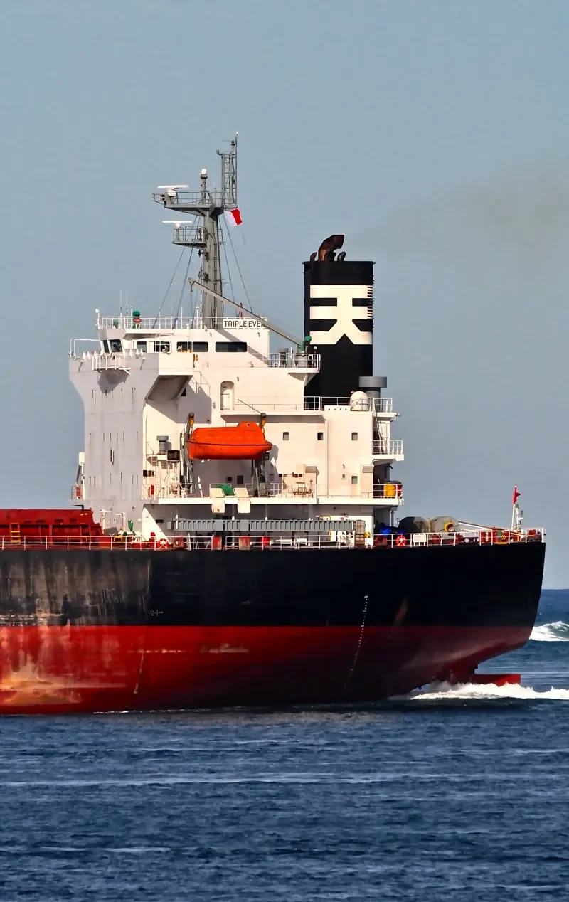 MANALAGI HITA Bulk Carrier IMO 9317121 photo 7